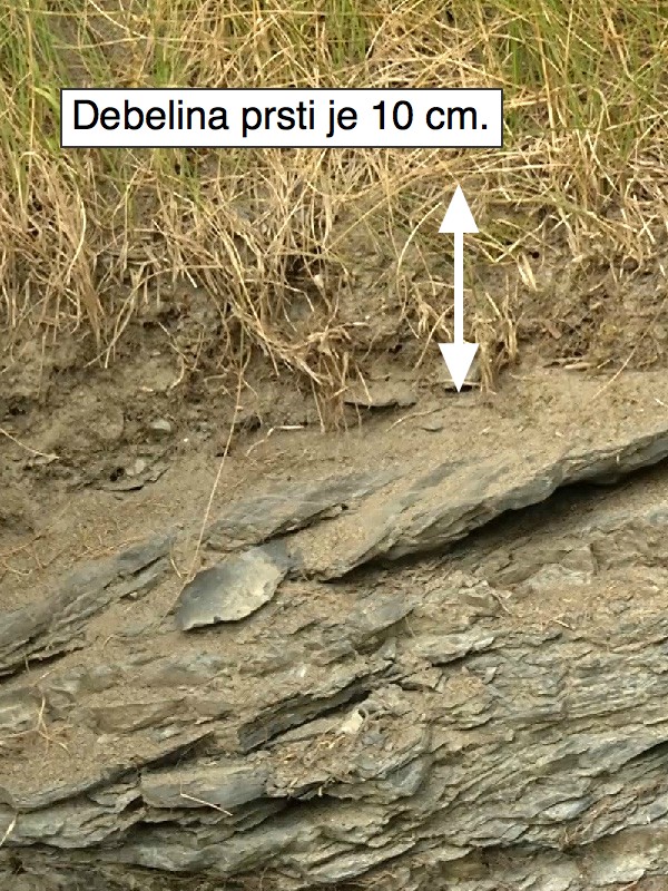 Slika 1