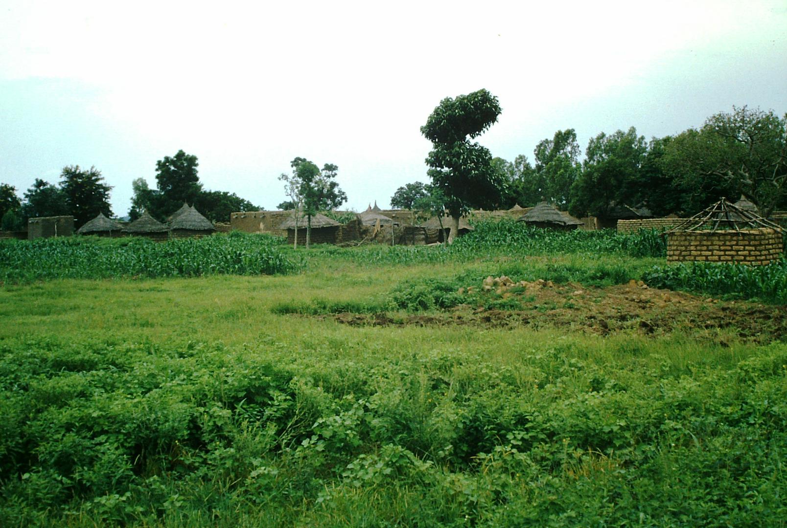 Vas v savani