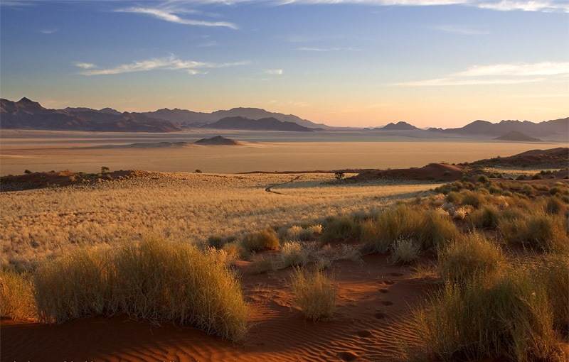 Puščava Namib