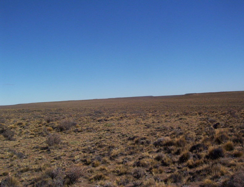 Patagonija