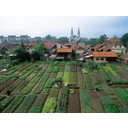 55_Krakovo_vrtovi.JPG<>Kmetijstvo - vrtovi v Krakovem (Ljubljana)