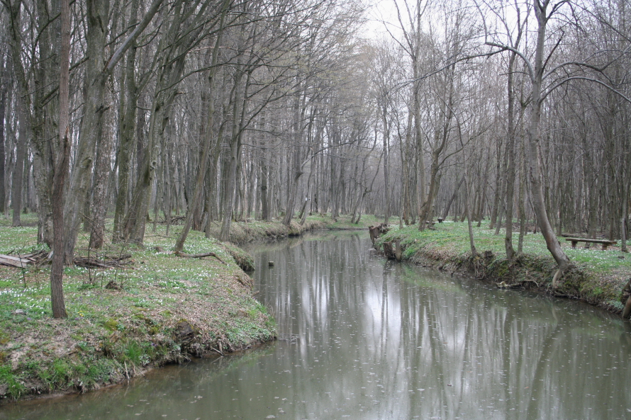 Stara struga Ščavnice