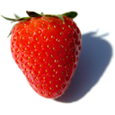 575px-Fragaria_Fruit_Close-up.jpg<>